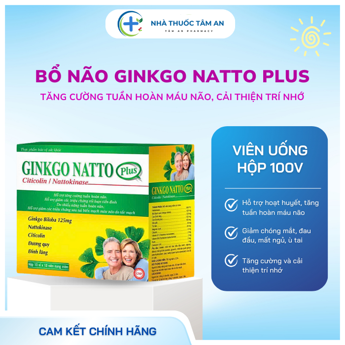 Viên uống GINKGO NATTO PLUS – Hỗ trợ tuần hoàn não, giảm rối loạn tiền đình, duy trì trí nhớ - H100V