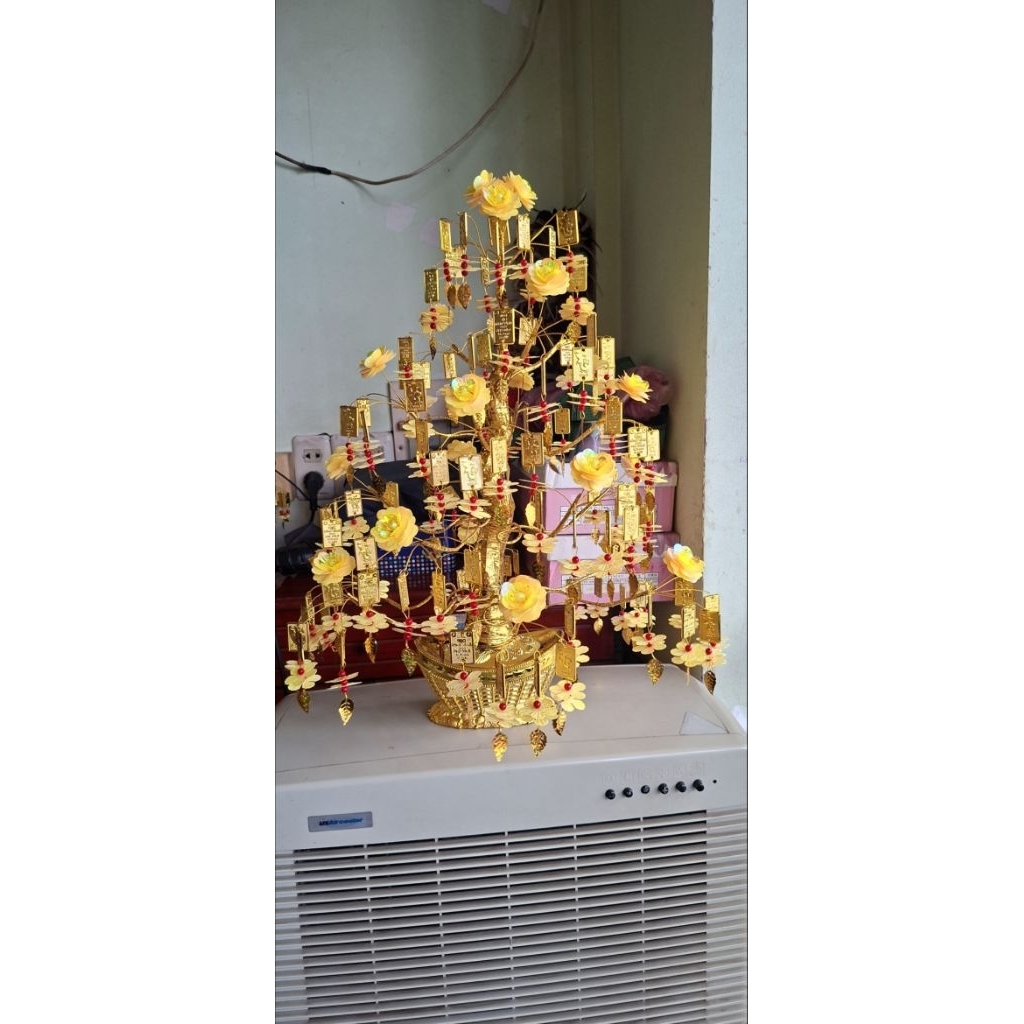 Cây mai vàng thẻ vàng 9999