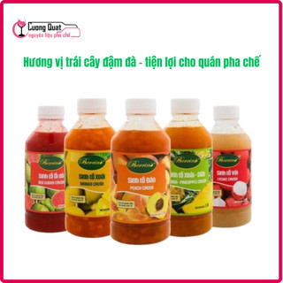 Sinh Tố Berrino 1L - Đậm Vị Trái Cây - Cường Quật – Đủ nguyên liệu, chuẩn vị kinh doanh