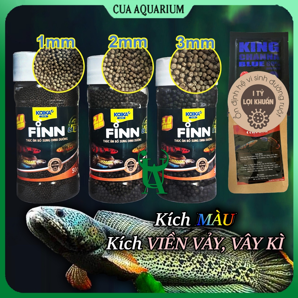Thức ăn cám kích màu cho cá lóc (Vẩy Rồng, Nữ Hoàng, Vây Xanh,...)
