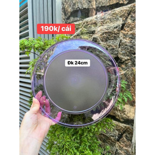 Dĩa Tròn Tupperware, 24 cm đường kính, Tup Trung pp,  tiện dụng khi dùng, không lo rớt vỡ, cực kì sang trọng
