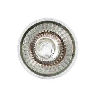 Đèn sưởi UVA + UVB 3.0 siêu rẻ