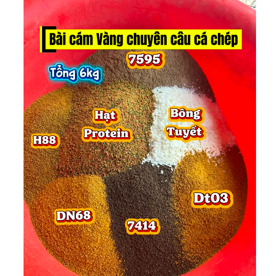 [Cám Bài Tổng Hợp]Bài Cám Nền Tanh Thơm Câu cá Tổng Hợp,Chép,Rô Phi-Bài Cám xay câu cá