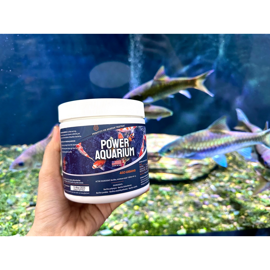 Vi sinh POWER AQUARIUM (Công ty). Hộp 450r và 1KG