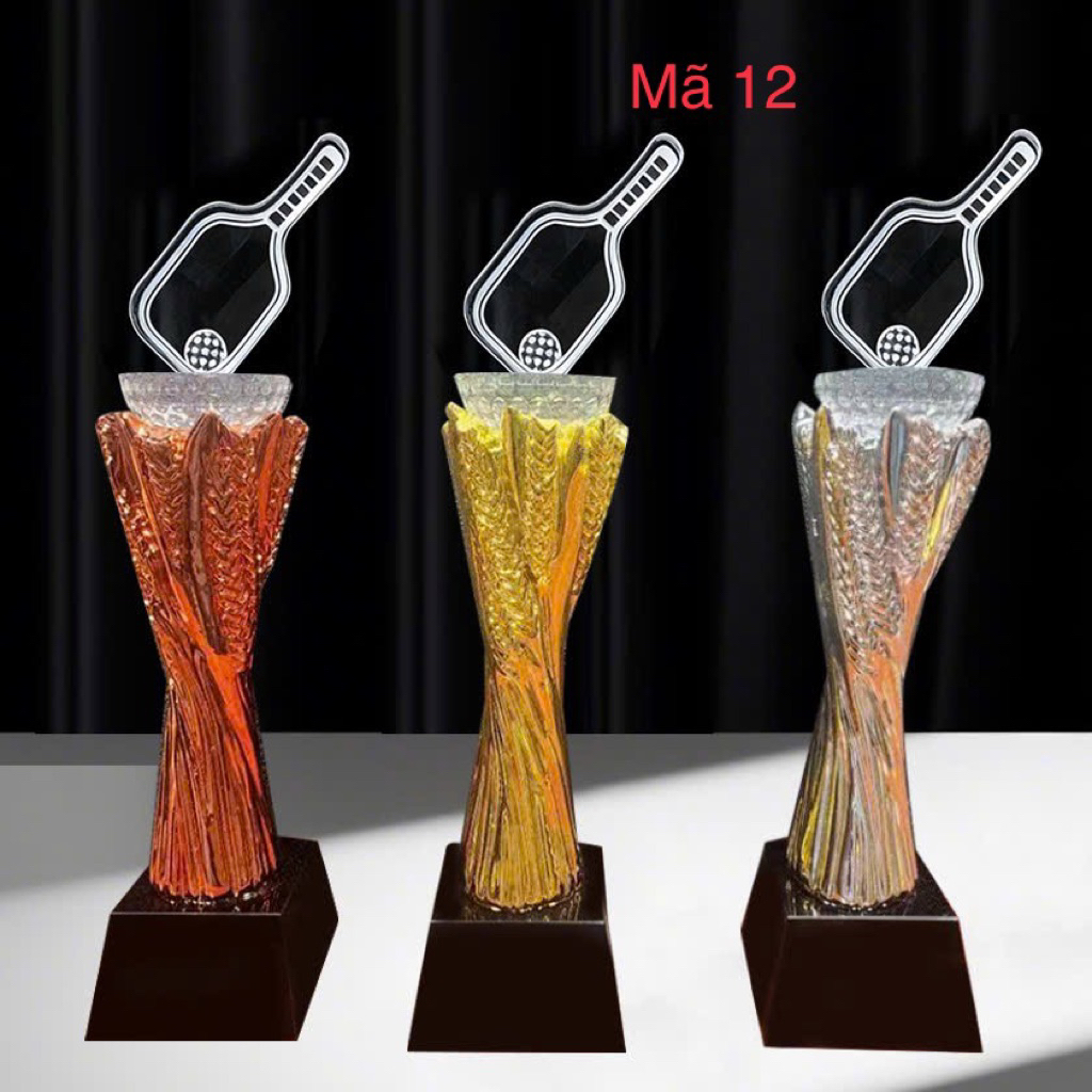 Cúp Pickleball  Cao Cấp