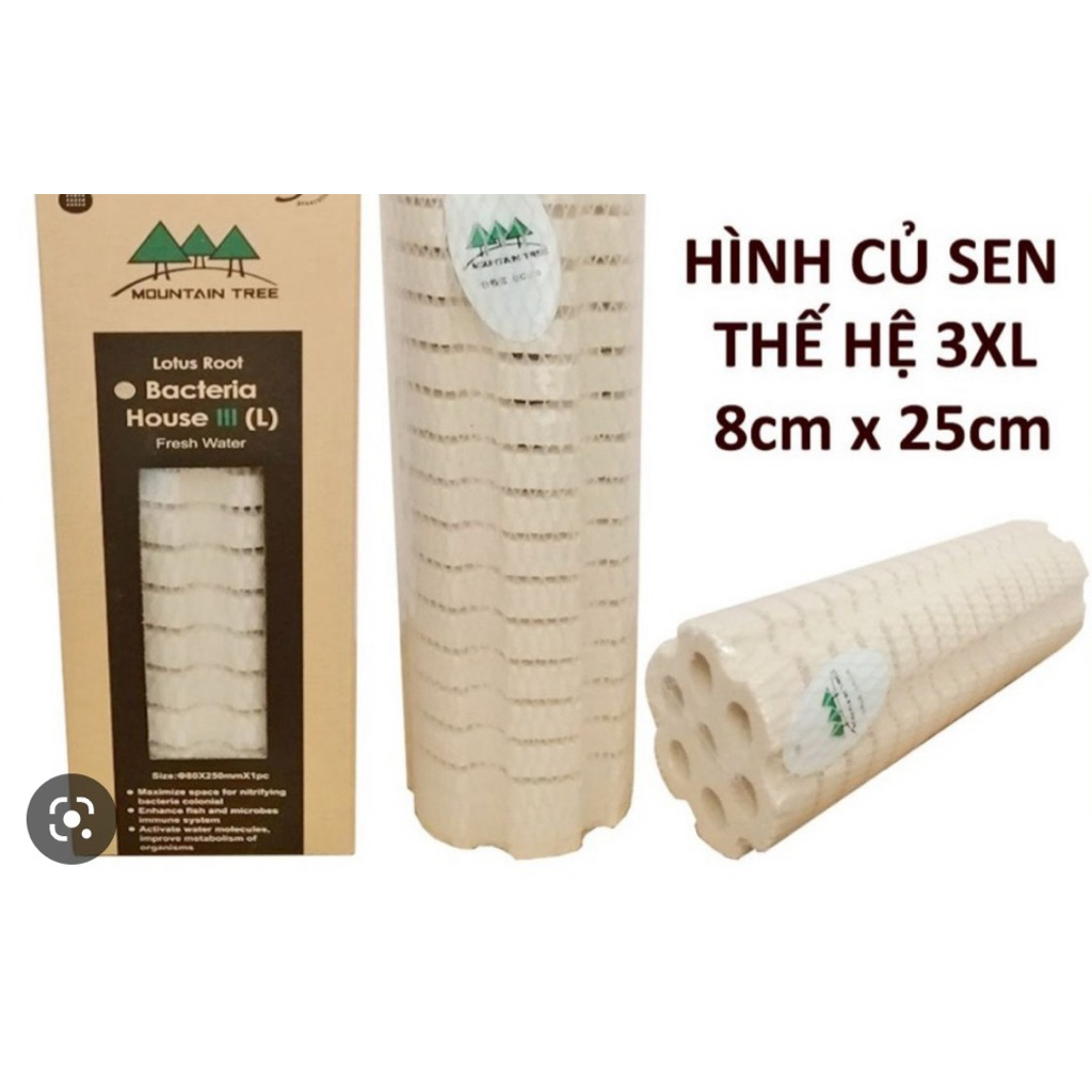 Sứ Củ Sen Mountain Tree V3