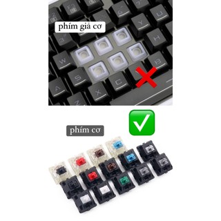 Keycap cá mập xám