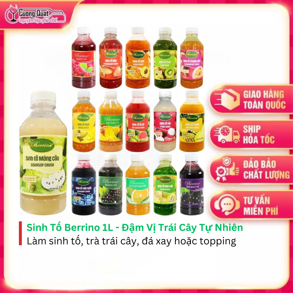 Sinh Tố Berrino 1L - Đậm Vị Trái Cây - Cường Quật – Đủ nguyên liệu, chuẩn vị kinh doanh