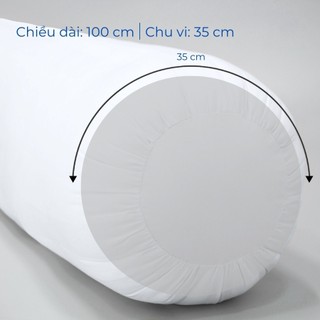 [GIẢM 5%] Ruột gối ôm Thanh Thủy - THANH THUY