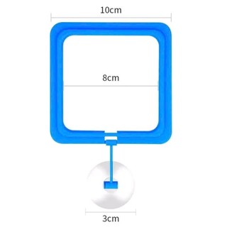 Vòng cho cá ăn - giữ thức ăn không bị phân tán