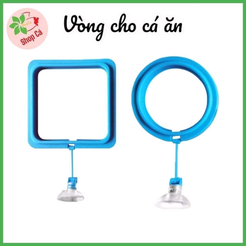Vòng cho cá ăn - giữ thức ăn không bị phân tán