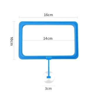 Vòng cho cá ăn - giữ thức ăn không bị phân tán