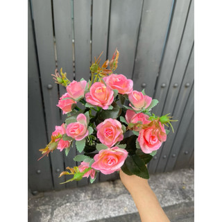 Combo 5-10 cành hoa hồng tỷ muội lụa