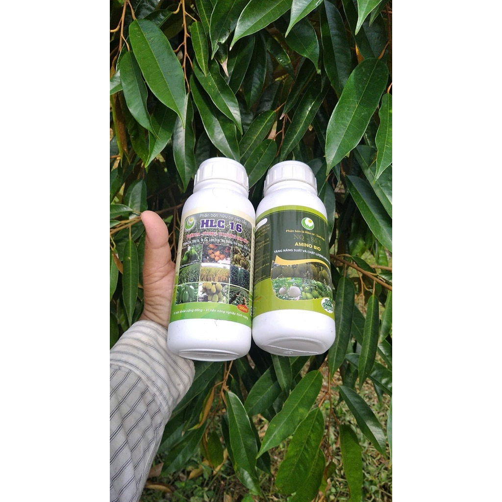 COMBO DINH DƯỠNG HLC 16 + AMINO CHAI 500mL Kéo đọt, mập đọt, xanh dày lá