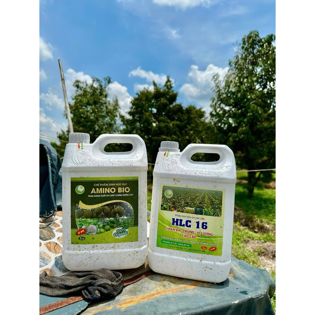 COMBO HLC 16 + AMINO CAN 5L Kéo đọt, mập đọt, xanh dày lá
