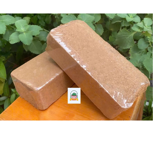 Viên nén đất sạch trồng cây hữu cơ