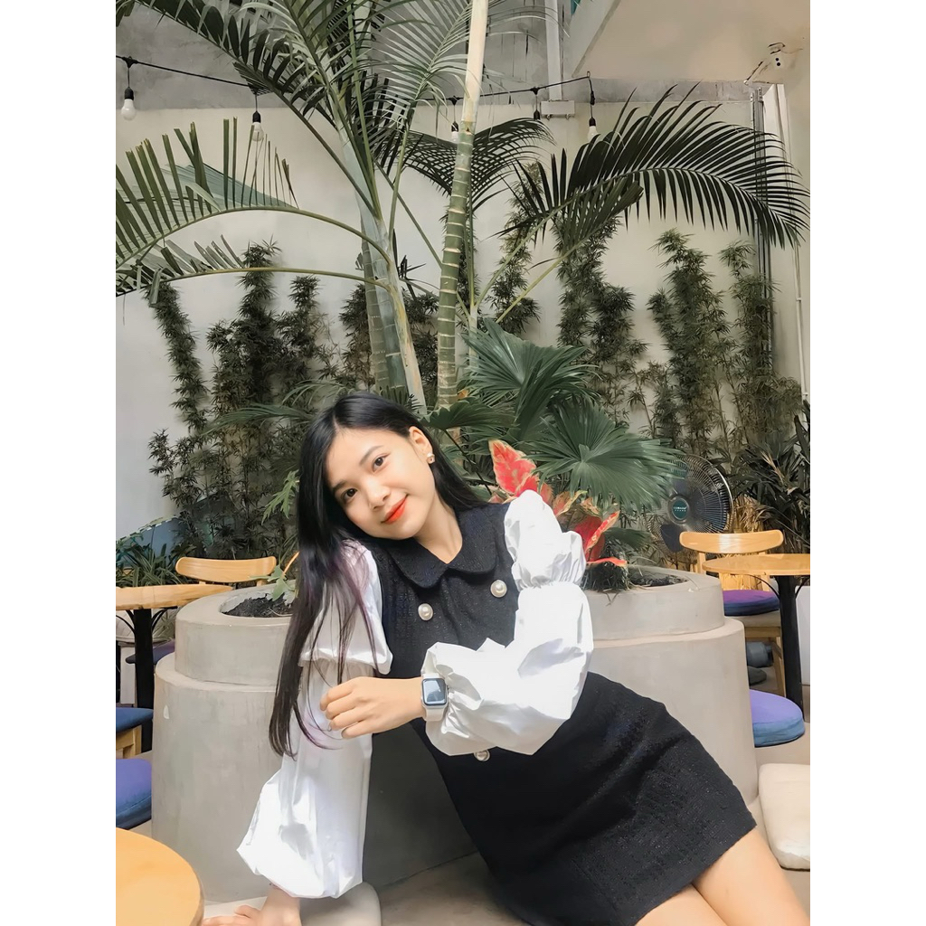 Váy dạ Joie Des Roses