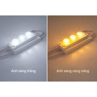 Đèn Led Hắt 2835 3 bóng to samsung