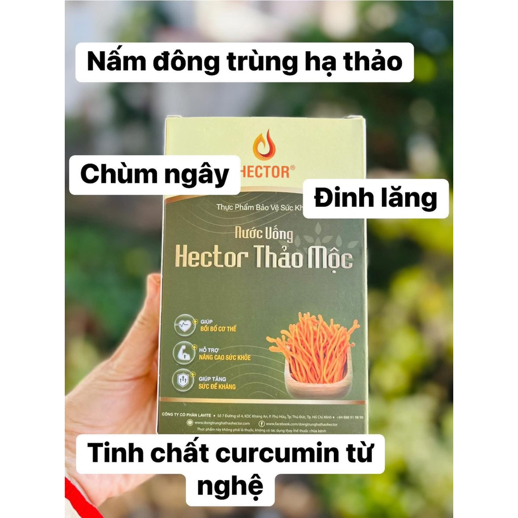 Hector Thảo Mộc - Hỗ Trợ Tăng Đề Kháng & Sức Khỏe, Êm Dạ Dày - Hộp 10 Gói Dạng lỏng