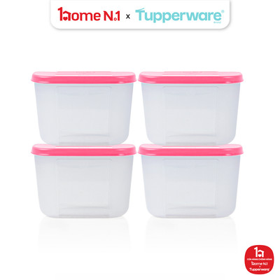 Bộ 4 Hộp Đựng Thực Phẩm Tupperware Trữ Đông Gen I Mini 300ml - Sheer Fdust