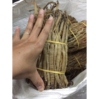 sá sùng ( trùng biển ) gói 500g