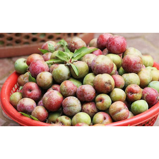 Kèm muối chấm -500g mứt mận khía hà nội chua nhiều hơn ngọt