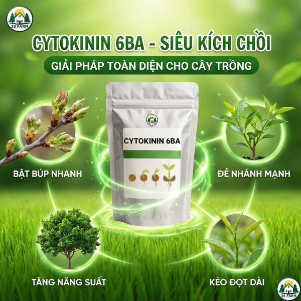 Siêu Kích Chồi Cytokinin 6BA - Kéo Đọt, Bật Búp, Đẻ Nhánh, Tặng kèm dung môi
