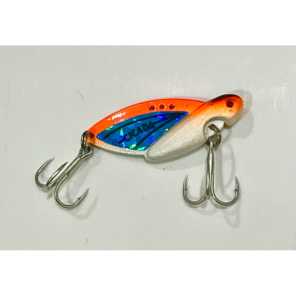 Cá Sắt Cicada Cam Decan ( Lưỡi BKK )