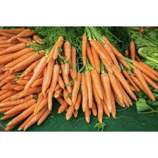 Cà Rốt Đà Lạt Nguyên Củ - Joyful Day - [HỎA TỐC]