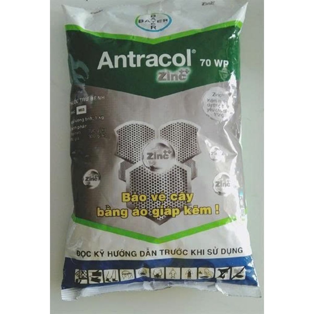 Antracol 70WP 1kg