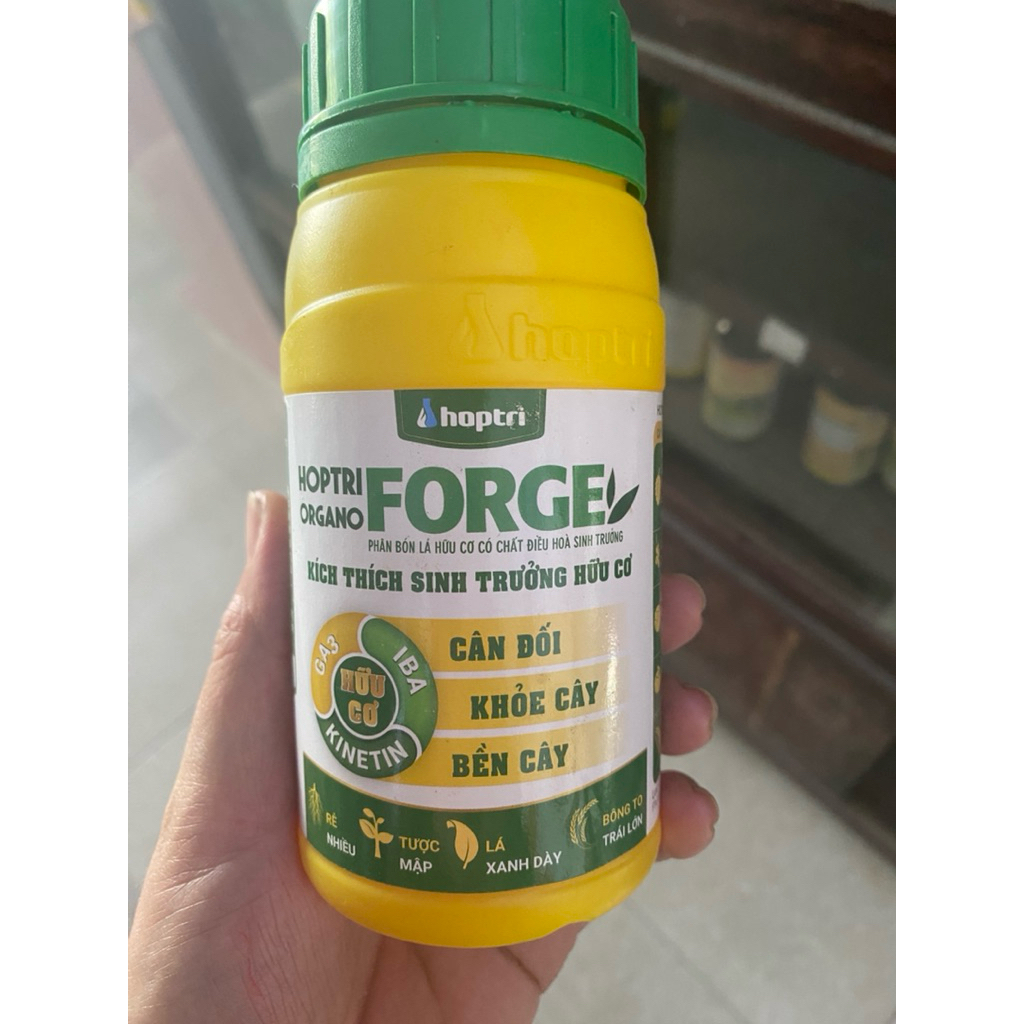 Hợp trí organo - forge 250ml