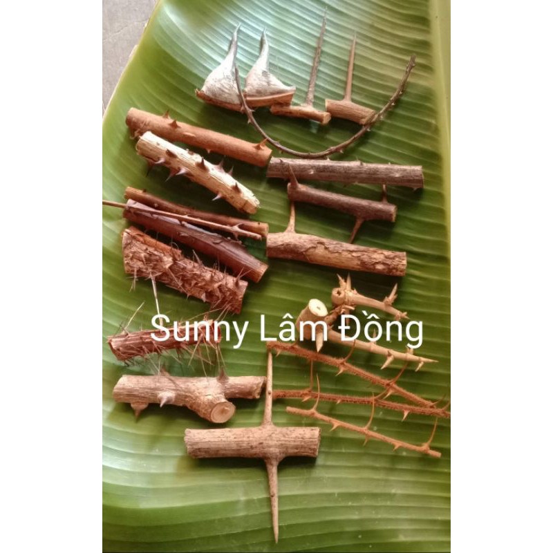 5 tặng 1 túi Thảo mộc 12 loại gai,  18 loại gai, 21 loại gai, 9 loại gai, 7 loại gai trừ tà gai tắm 