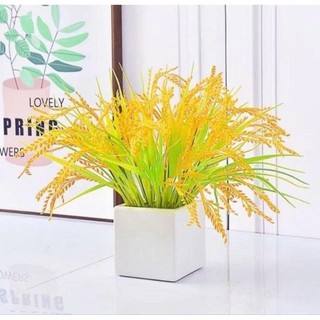 Bông Lúa Vàng Mạch Trang Trí Nhà Cửa, Tết Tượng ˇTrưng Cho Tài Lộc