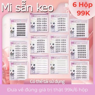 Lông Mi Gỉa Sẵn Keo MJ Shangpin, Mi Tự Dính, Mi Gỉa Tái Sử Dụng, 6 hộp/hộp 99k, Chống Nước 24H, Dáng Mi Hàn Quốc