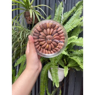 Hạt Điều Vỏ Lua Rang Muối Loại Đặc Biệt 500g