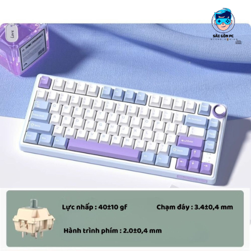 Bàn phím cơ không dây RK R75 Pro - 3 mode - Mạch xuôi 5 pin - App Marco - LED RGB - Full Foam