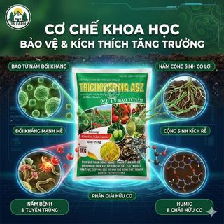 [1KG] Nấm Trichoderma - Chế Phẩm Sinh Học Men Vi Sinh Dùng Ủ Phân - Xử Lý Đất