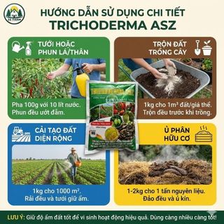 [1KG] Nấm Trichoderma - Chế Phẩm Sinh Học Men Vi Sinh Dùng Ủ Phân - Xử Lý Đất