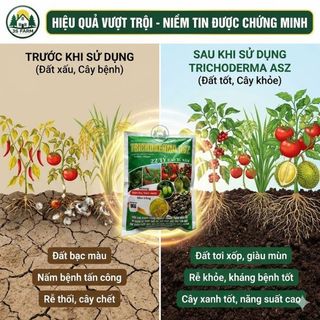 [1KG] Nấm Trichoderma - Chế Phẩm Sinh Học Men Vi Sinh Dùng Ủ Phân - Xử Lý Đất