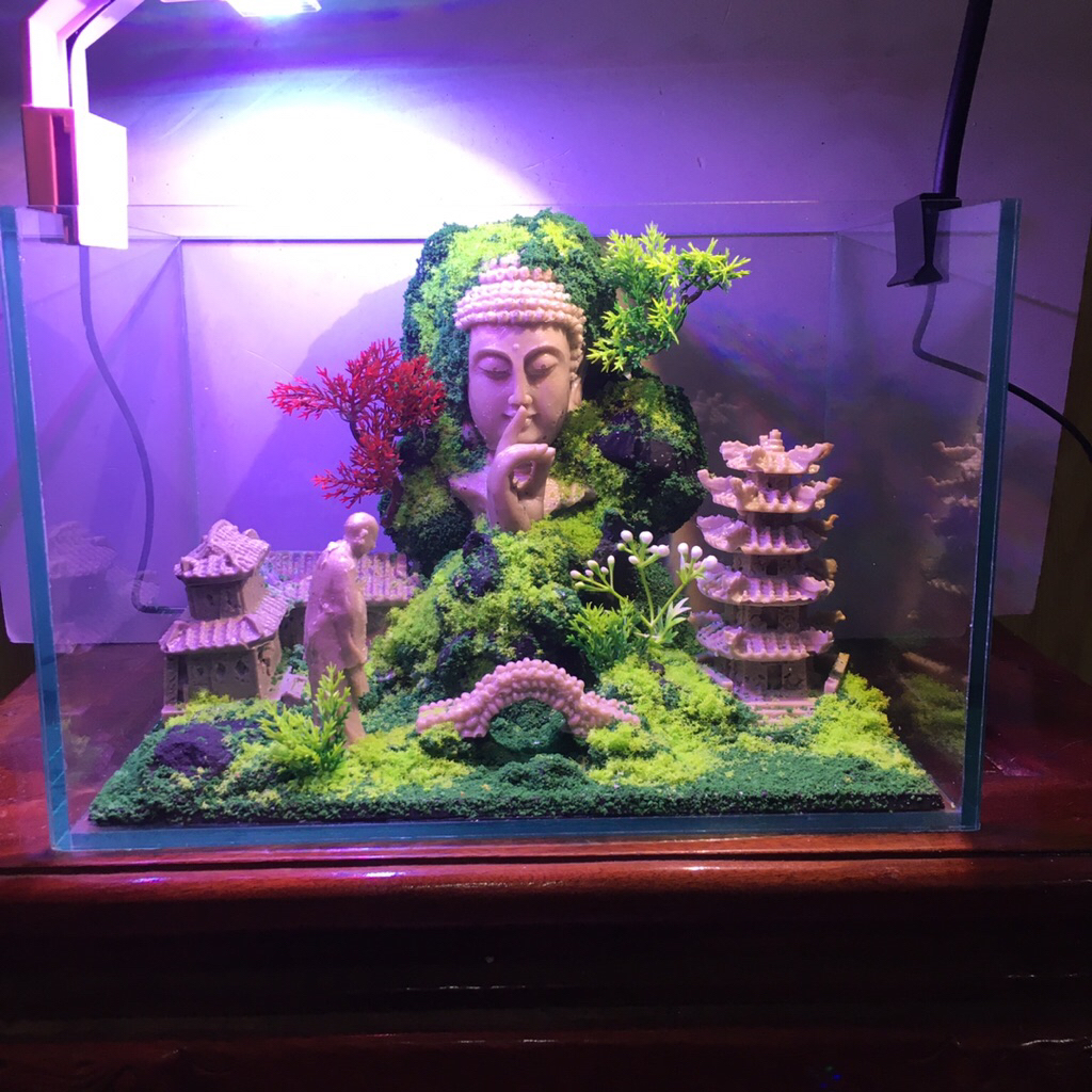 Layout Setup sẵn Thiền Sư Bái Phật. Kèm bể cá 30x20x20