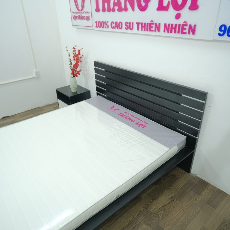 Nệm memory foam Cao cấp Thắng Lợi