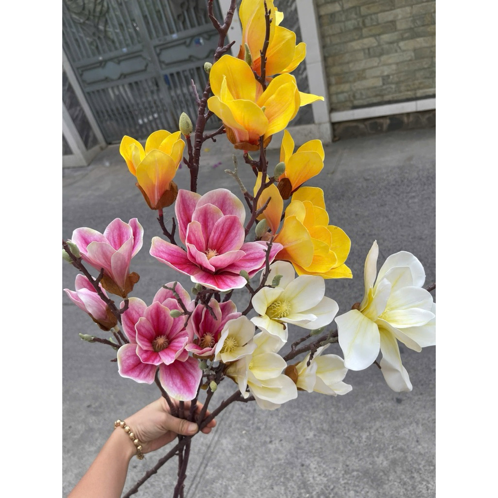 MỘC LAN CAO SU CẮM BÌNH TRANG TRÍ NHÀ CỬA