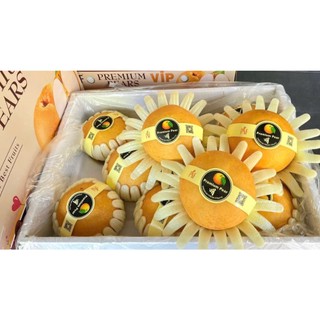 ( JENNY FRUIT ) THÙNG LÊ NÂU HÀN 5KG