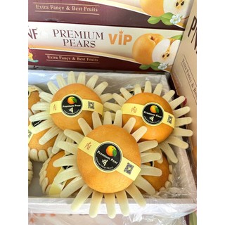 ( JENNY FRUIT ) THÙNG LÊ NÂU HÀN 5KG