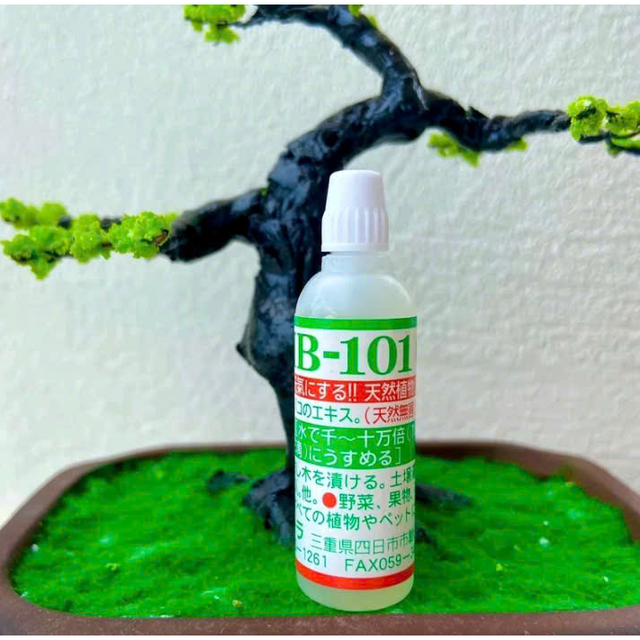 Dung Dịch Kích Rễ Hb101 lọ 6ml Hỗ Trợ Cây Ra Rễ Phục Hồi Cây Yếu
