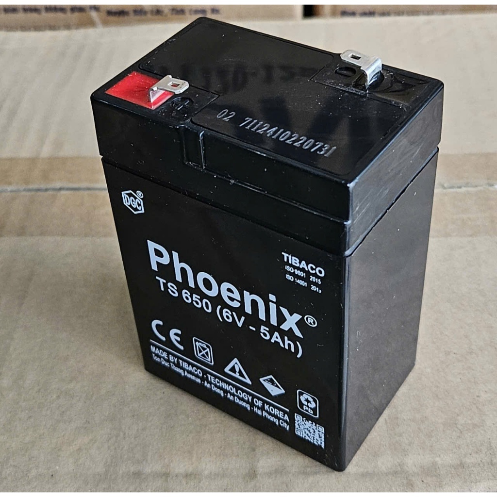 Ắc Quy 6V-5Ah dùng cho cân điện tử, quạt sạc, xe điện trẻ em Phoenix TS650 5Ah-6V