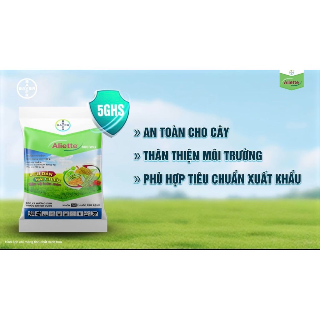 ALIETTE 800Wg khối lượng 500g