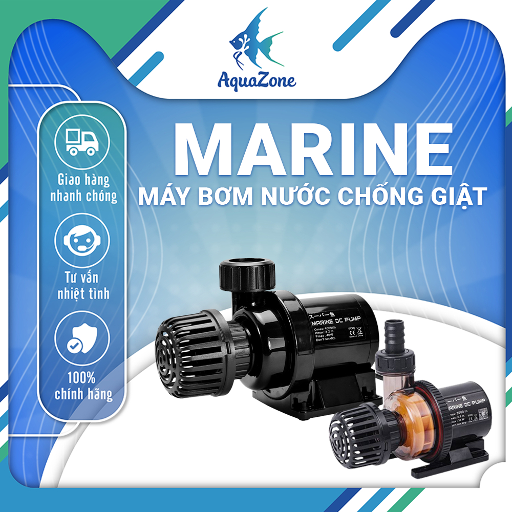 Máy bơm nước chống giật Marine DC Pump 650 - 15000