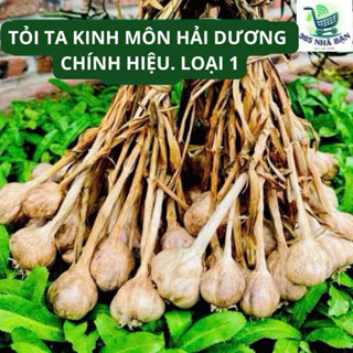 Tỏi ta khô Kinh Môn Hải Dương, tỏi bắc hàng chuẩn - Loại 1