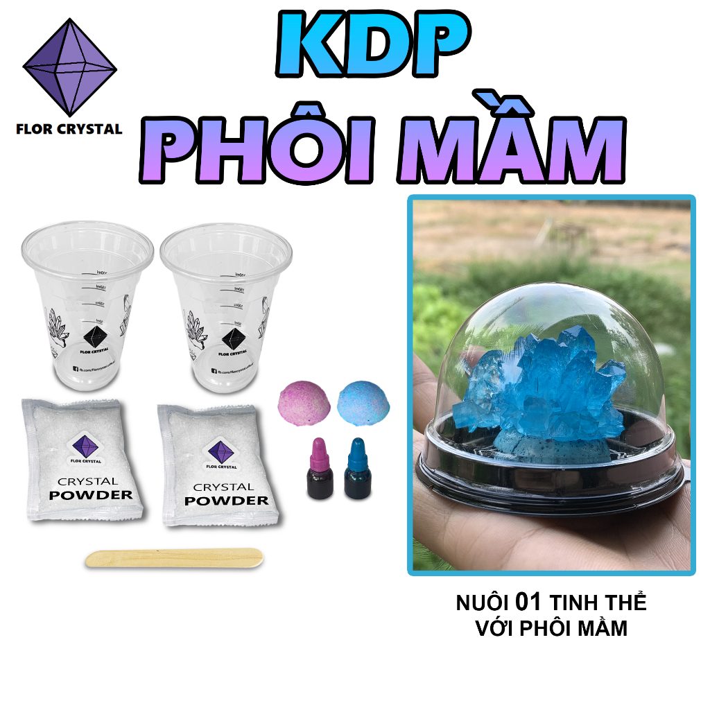🍓KDP KH2PO4 phôi mầm bộ nuôi tinh thể KDP KH2PO4 (có hướng dẫn)_